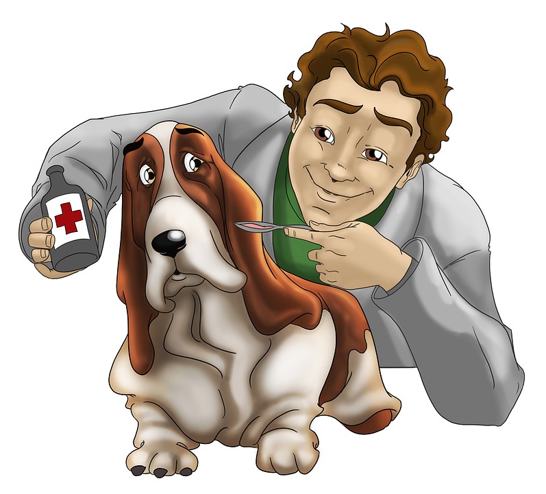 犬の誤飲 誤食についてリスト一覧と対処方法 約7割の犬が経験 安全 ドッグフードナビ