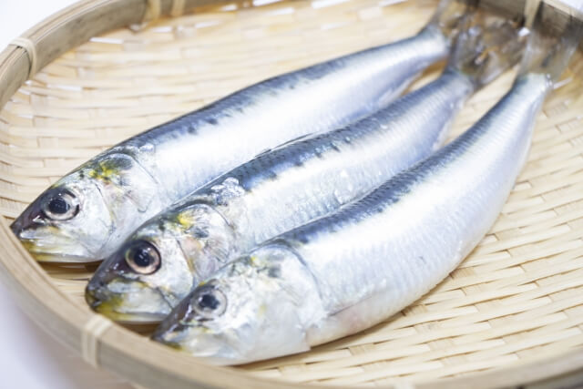 犬に魚 おすすめ 理由や注意点 食べさせ方を初心者向けに解説 安全 ドッグフードナビ